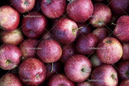 تصویر با کیفیت سیب قرمز بهاری